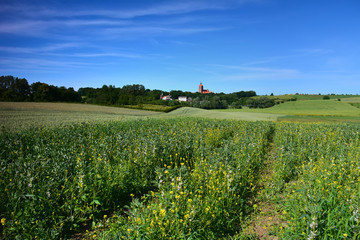 Fototapeta na wymiar Fields near Reszel in Poland