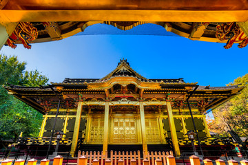 Naklejka premium Tosho-Gu shrine, Tokyo, Japan.
