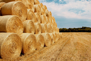 bales of hay on the field