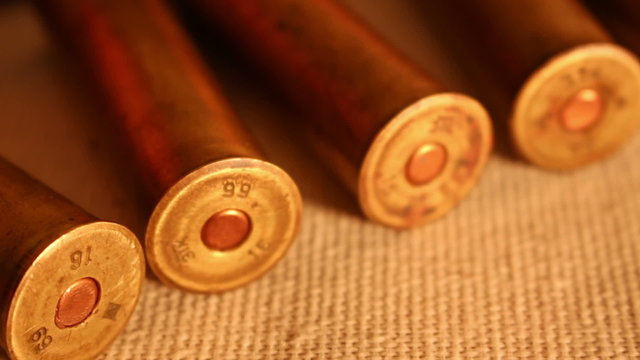 shotgshotgun and cartridges