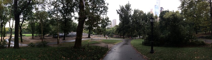 Naklejka premium Central Park