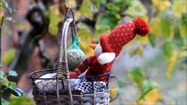 Meisen picken Futter aus Korb mit Puppe, winter 