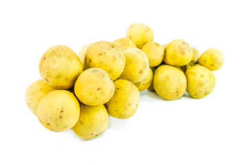 Wollongong isolated on white background, Lansium domesticum 