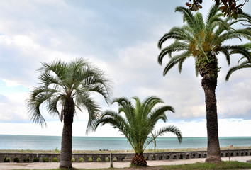 Fototapeta premium Waterfront views Gagra, Abkhazia