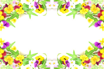 frame of the pansy