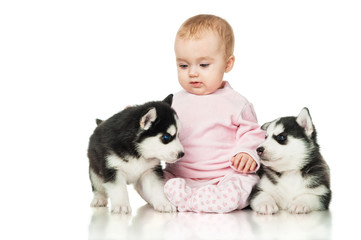 Fototapeta na wymiar Little girl with two puppies husky