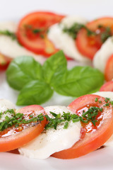 Italienischer Caprese Salat mit Tomaten und Mozzarella Käse