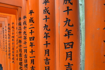 Japanese Torii Gates