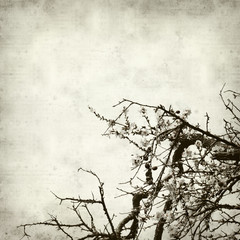 textured old paper background