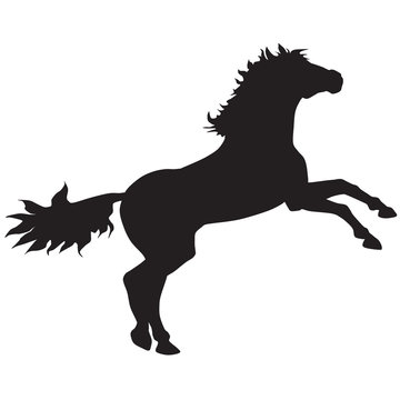 black horse silhouette new5-ill