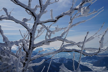 Winterlandschaft