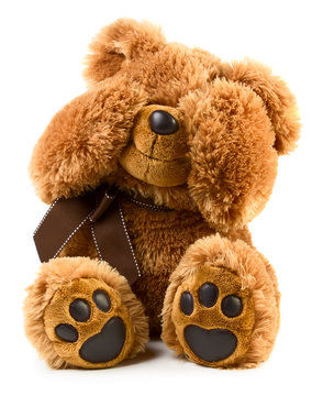 Toy teddy bear