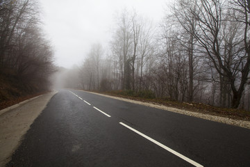 fog on the road
