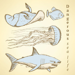 Sketch sea creatures in vintage style - 77292573