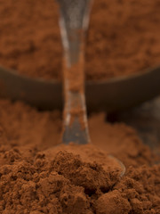 cocoa powder