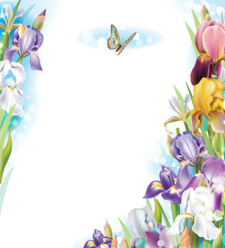 Frame with Iris flowers