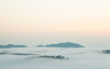 Fog covered mountains and trees