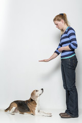 Mach Platz - Gehorsamsübung eines Hundes