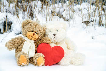 Teddy Bears on Valentine's Day