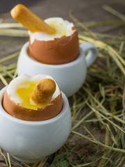 soft boiled egg with toast for breakfast,