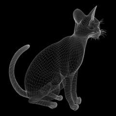 cat wire model