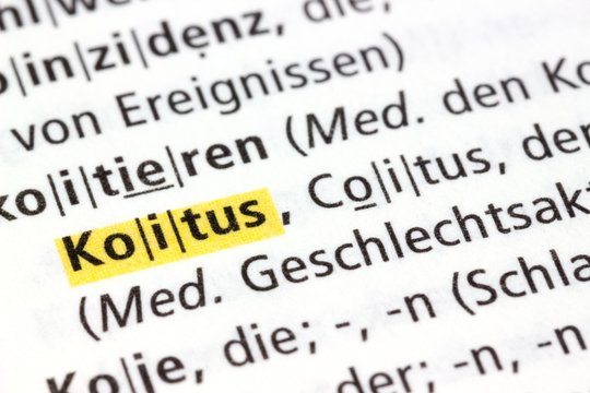 Koitus W&ouml;rterbuch Definition