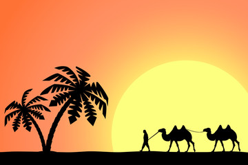 Fototapeta na wymiar Man on the camel in palm trees at sunset.