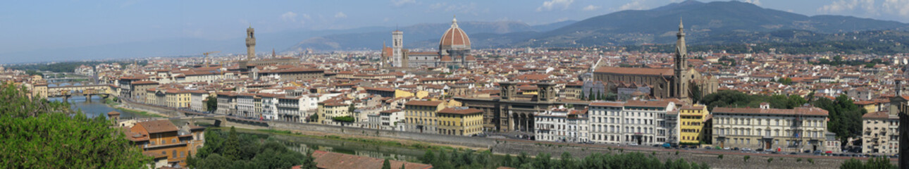 Fototapeta na wymiar Toscana,Firenze,Panoramica.