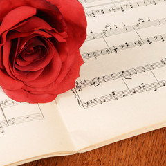The rose on notebooks with notes