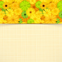 Card with yellow and green gerbera flowers. Vector eps-10.