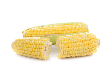 fresh sweet corn isolated on white background