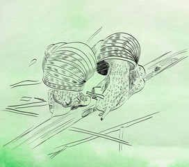 sketch of snail