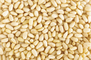 Pine nuts abstract texture
