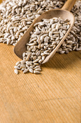 Holzhintergrund mit Textfreiraum - Sonnenblumenkerne