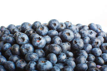 Fototapeta premium blueberries isolated on white background