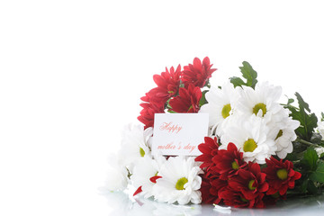 red and white chrysanthemums
