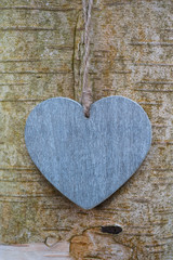 wood texture love heart on tree trunk