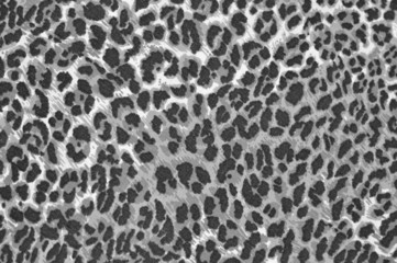 leopard fur as background