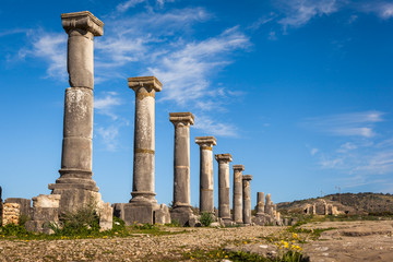 Colonade of Gordiano Palace. Volubilis