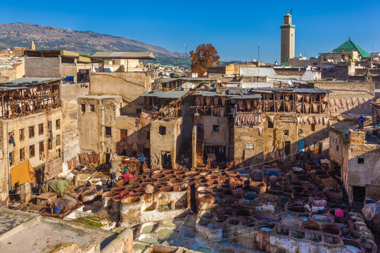Tannery, Fez