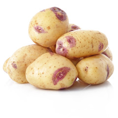 Variété Blue Belle