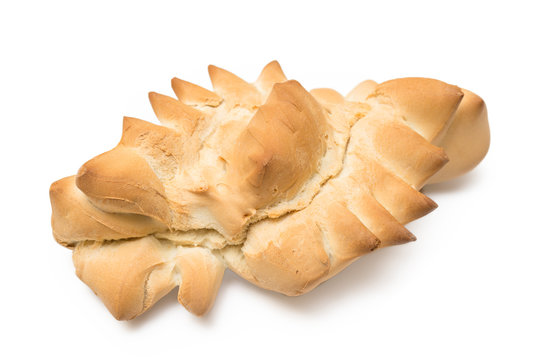 Su coccoi, tradizionale pane sardo a pasta dura