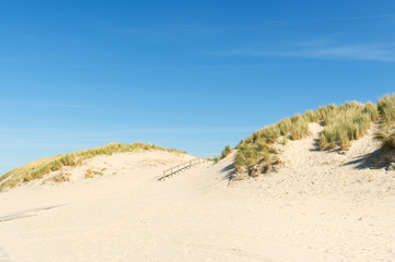 Fototapeta na wymiar Dunes at the coast
