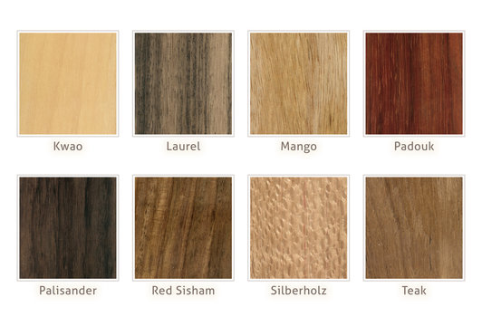 Asiatische Tropenh&ouml;lzer 2