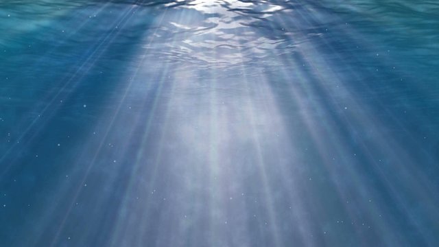 Bubbles and plancton in the dark ocean