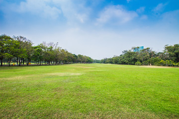 Fototapeta na wymiar Green field lined by trees on clear day