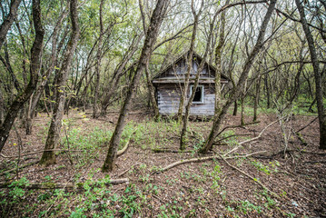 wooden cottage in Stechanka abandoned village, Chernobyl Zone