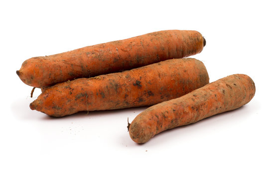 Морковка на белом фоне, Carrot on a white background