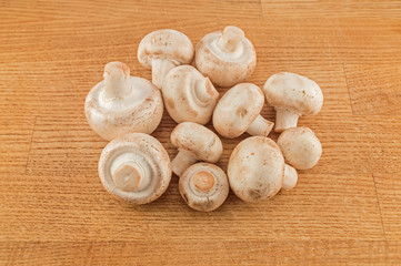 Raw mushrooms closeup