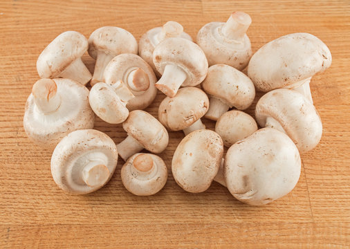 Raw mushrooms closeup